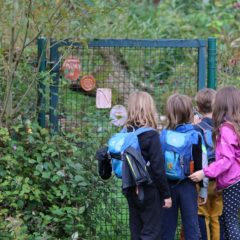 Wandertag in den Ginkgopark