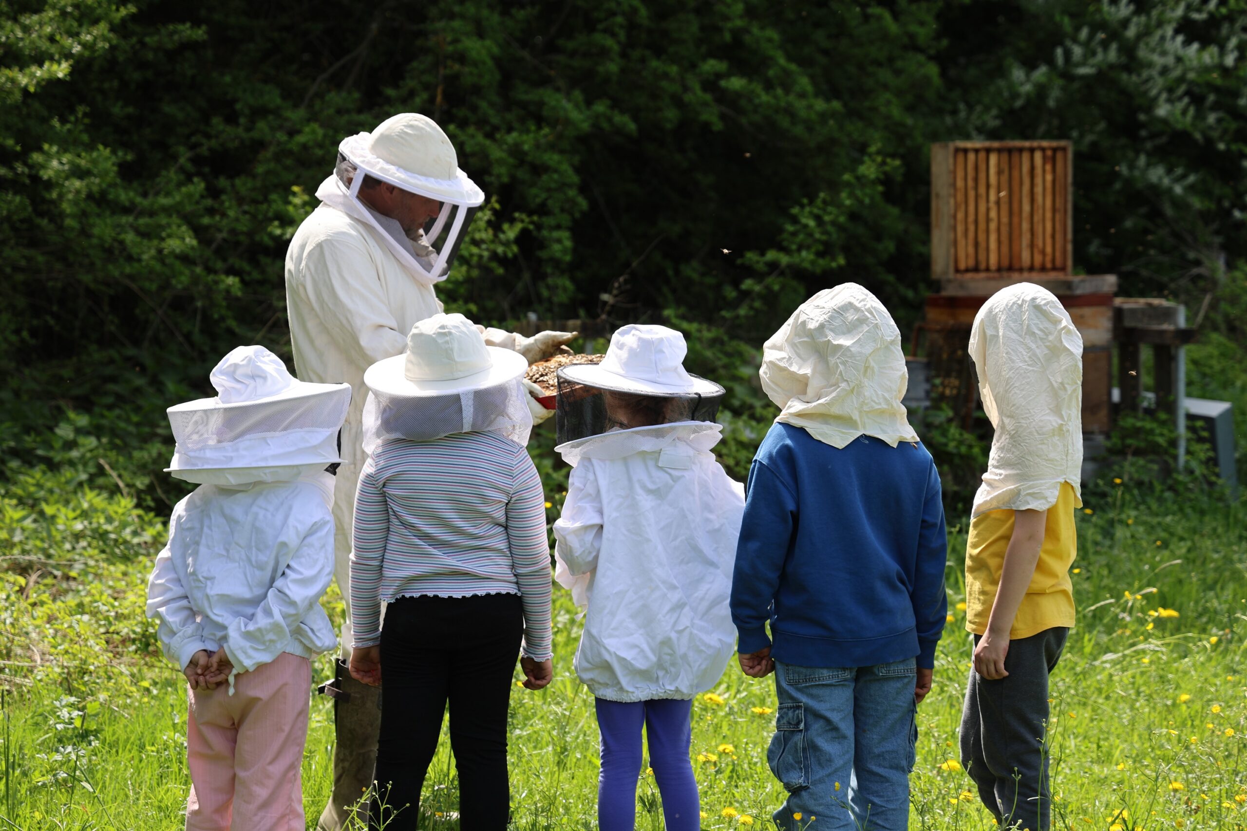 Bienenkuschelkurs